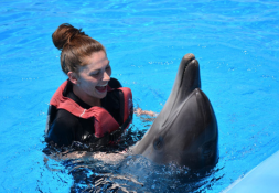 Photo session with dolphins